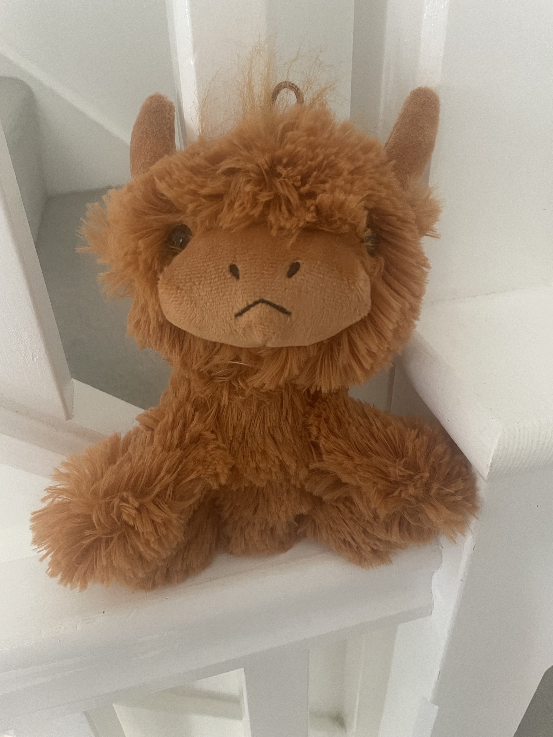 Cute highland cow teddy