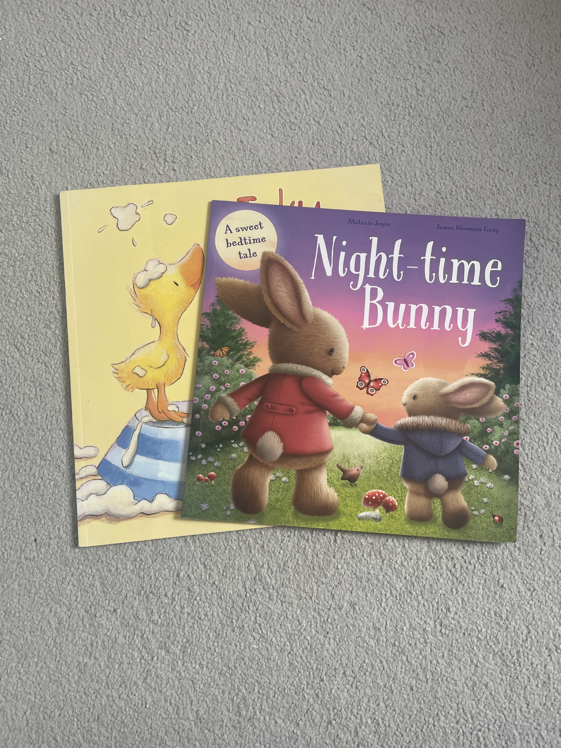 Two childrens books 